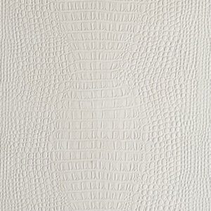skin-&-leather-alligator-skin