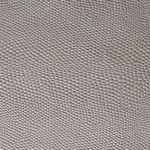 skin-&-leather-lizard-skin