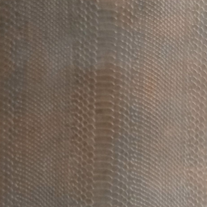 multicolor-snake-skin-101